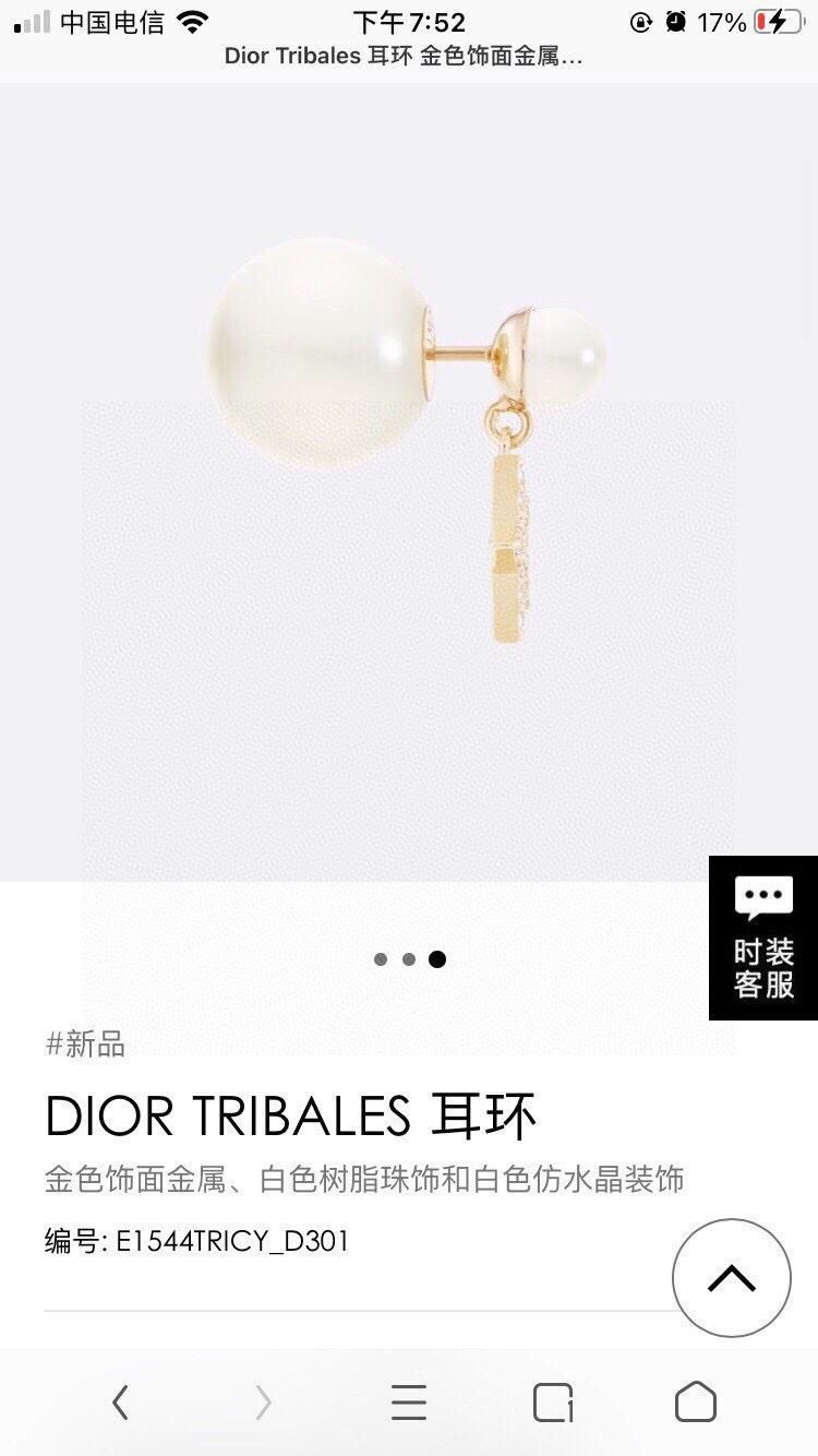 chr1st1an D10r earrings